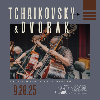 CSO-Tch:Dvor