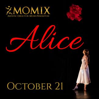Momix-325px